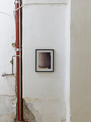 Image 13 of 32