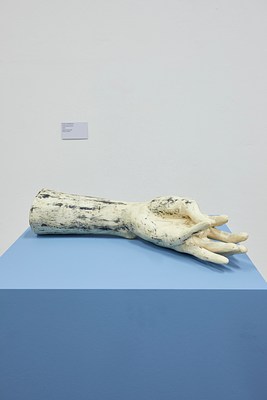 Image 7 of 27