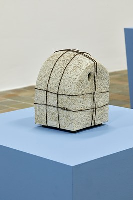 Image 20 of 27