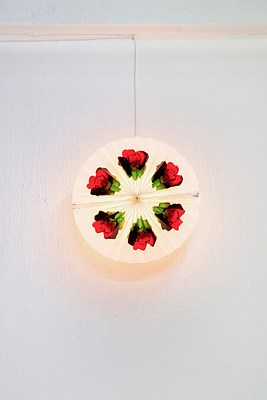 Image 7 of 16