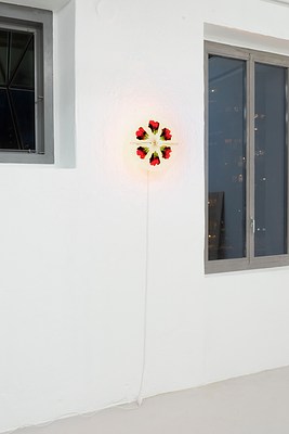 Image 15 of 16