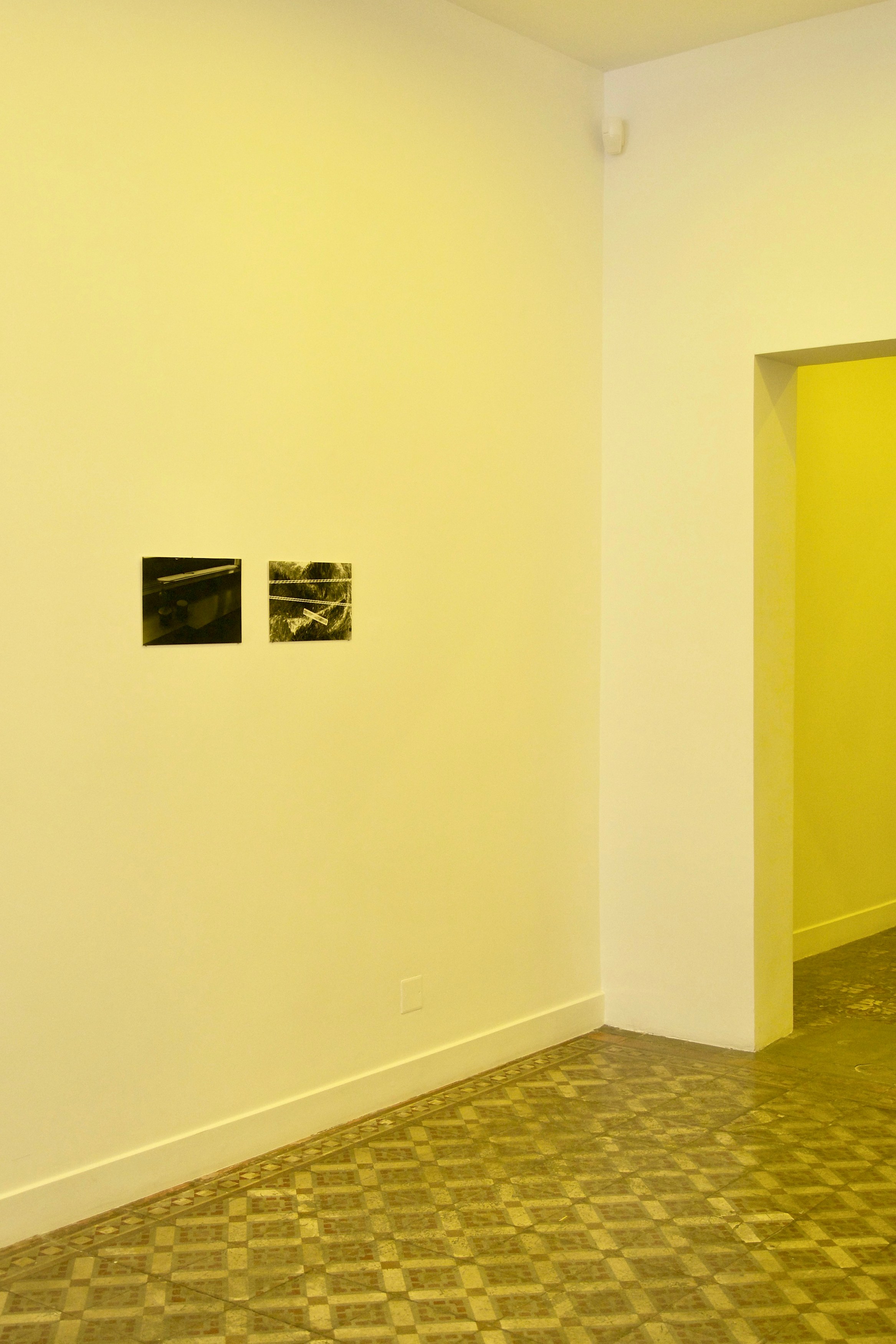 Charlotte Moth, Dim glows at Marcelle Alix, photo 2