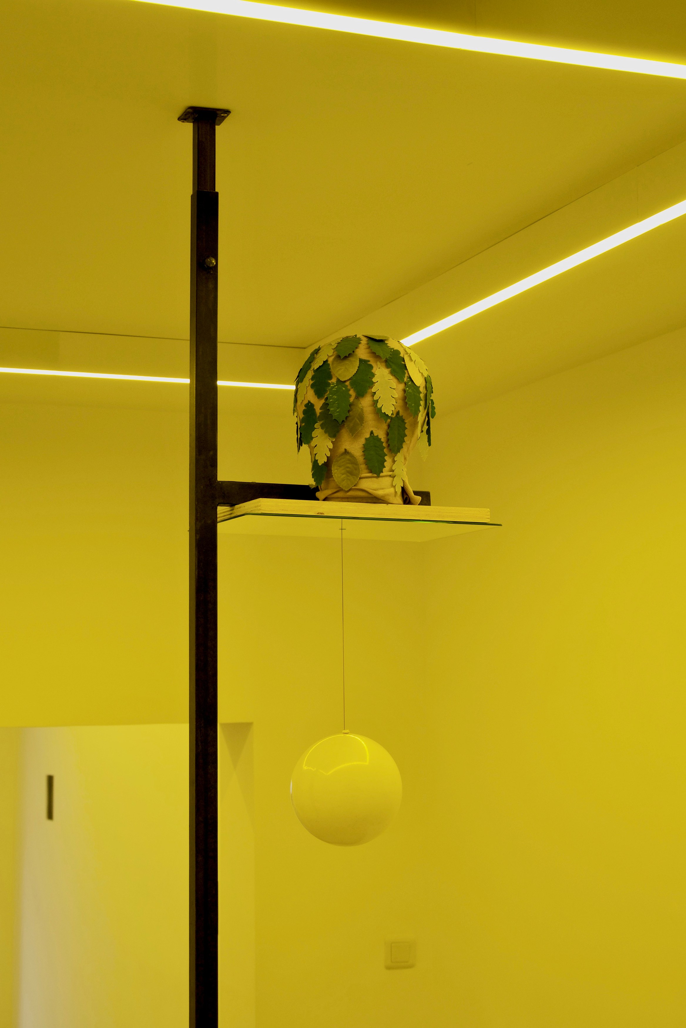 Charlotte Moth, Dim glows at Marcelle Alix, photo 14