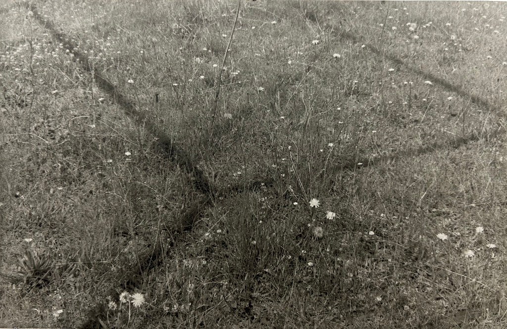 Charlotte Moth, Dim glows at Marcelle Alix, photo 19