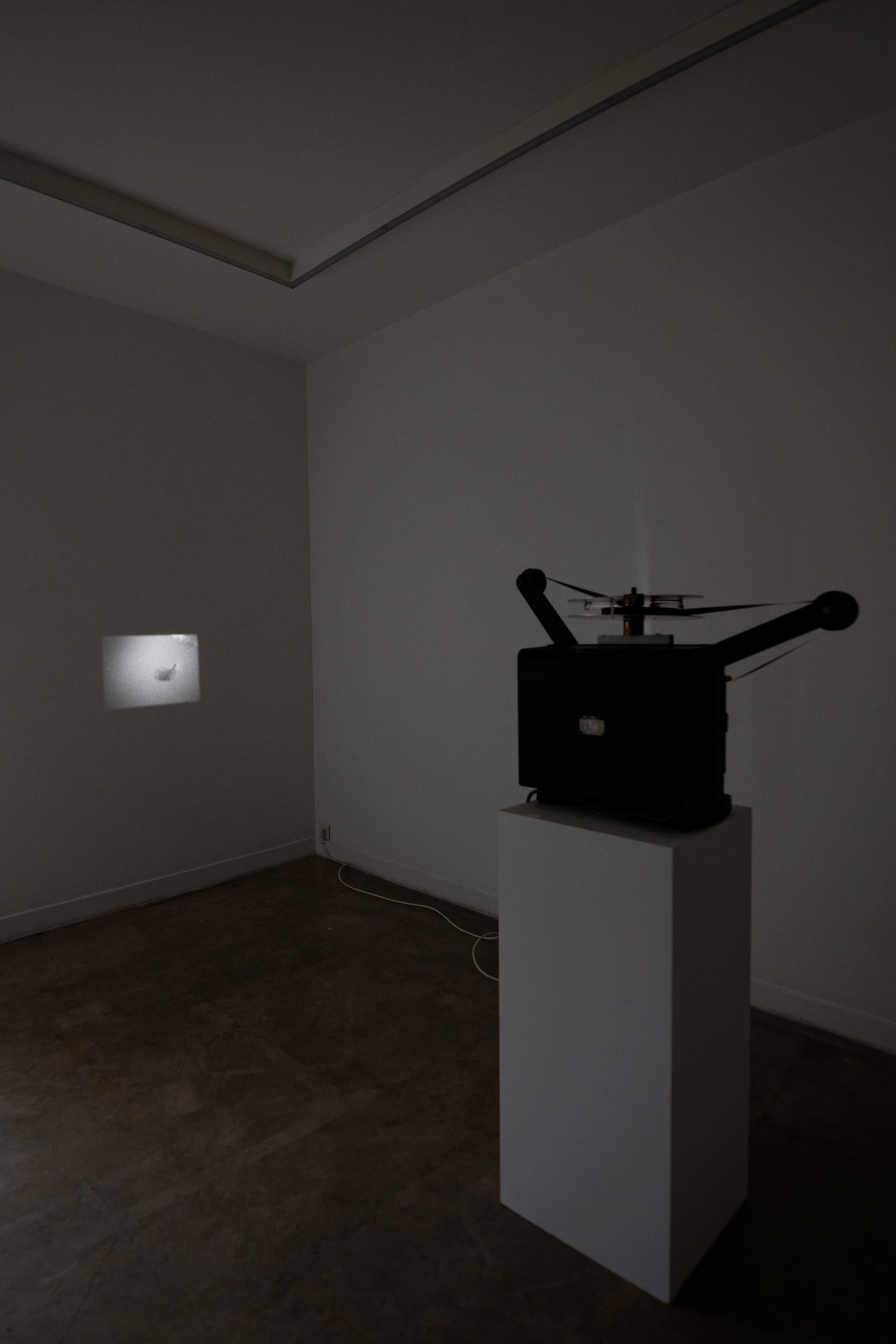 Charlotte Moth, Dim glows at Marcelle Alix, photo 26