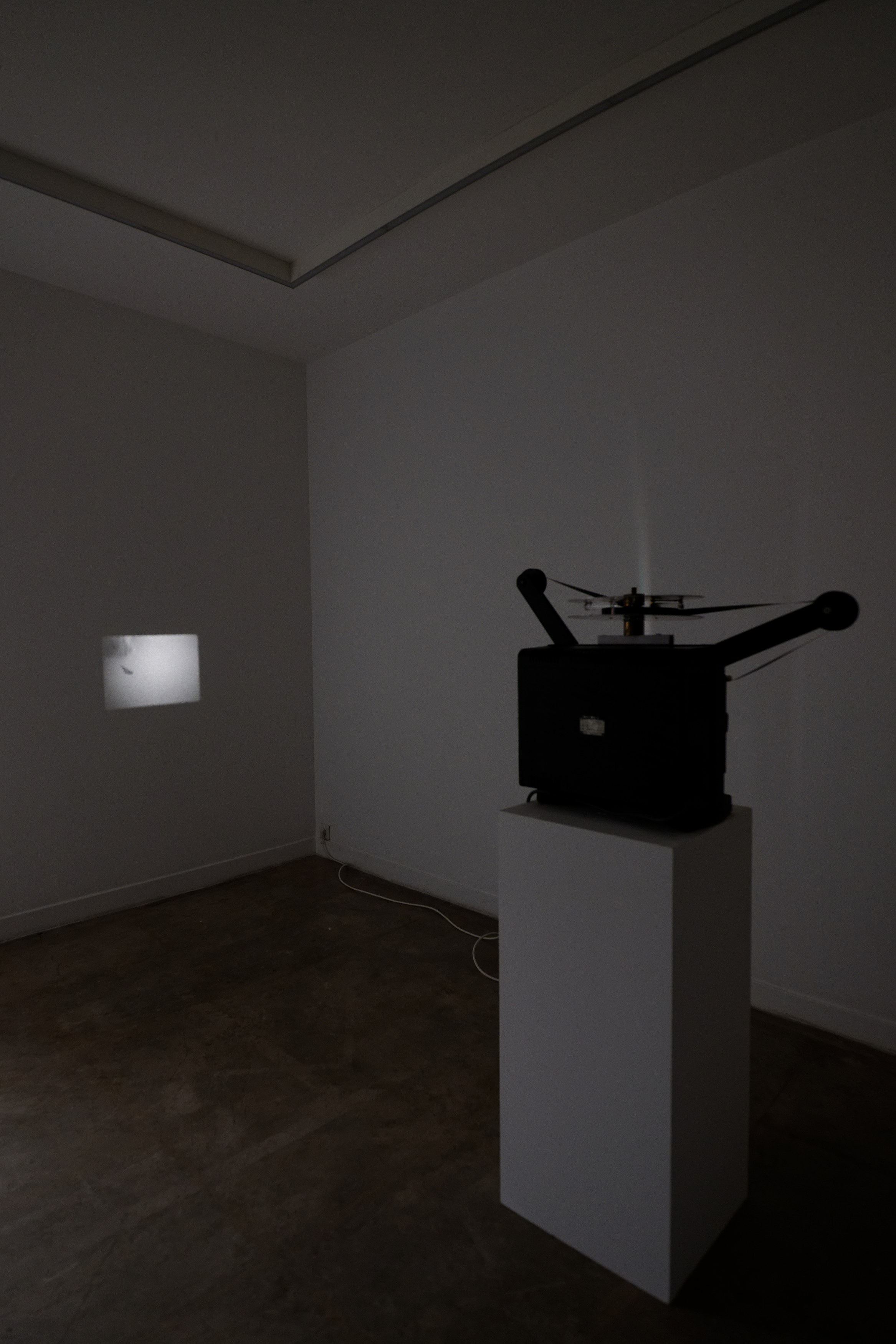 Charlotte Moth, Dim glows at Marcelle Alix, photo 27