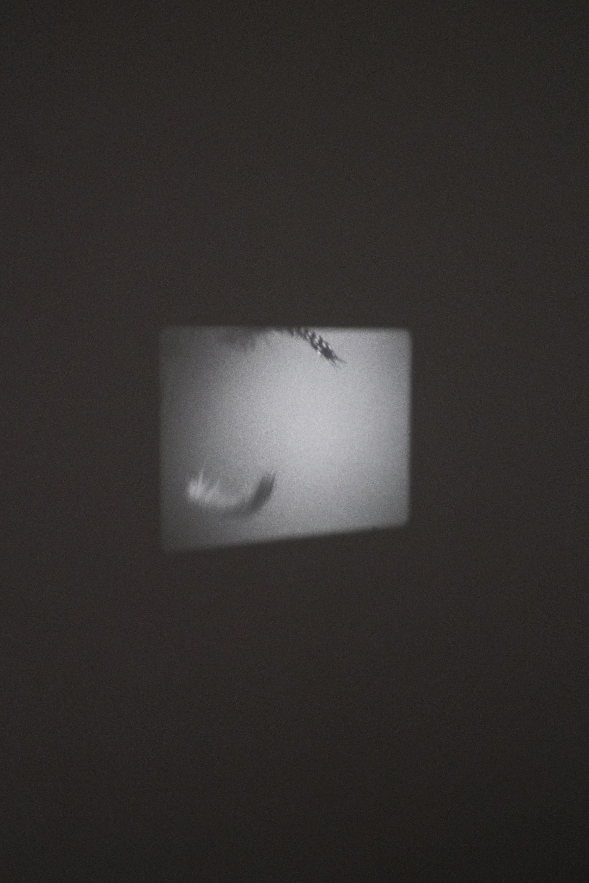 Charlotte Moth, Dim glows at Marcelle Alix, photo 29