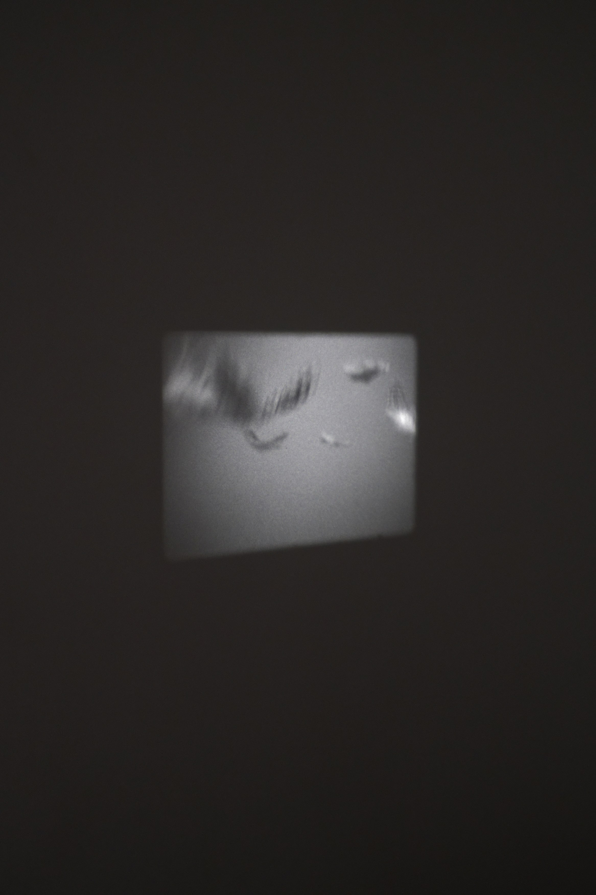 Charlotte Moth, Dim glows at Marcelle Alix, photo 30