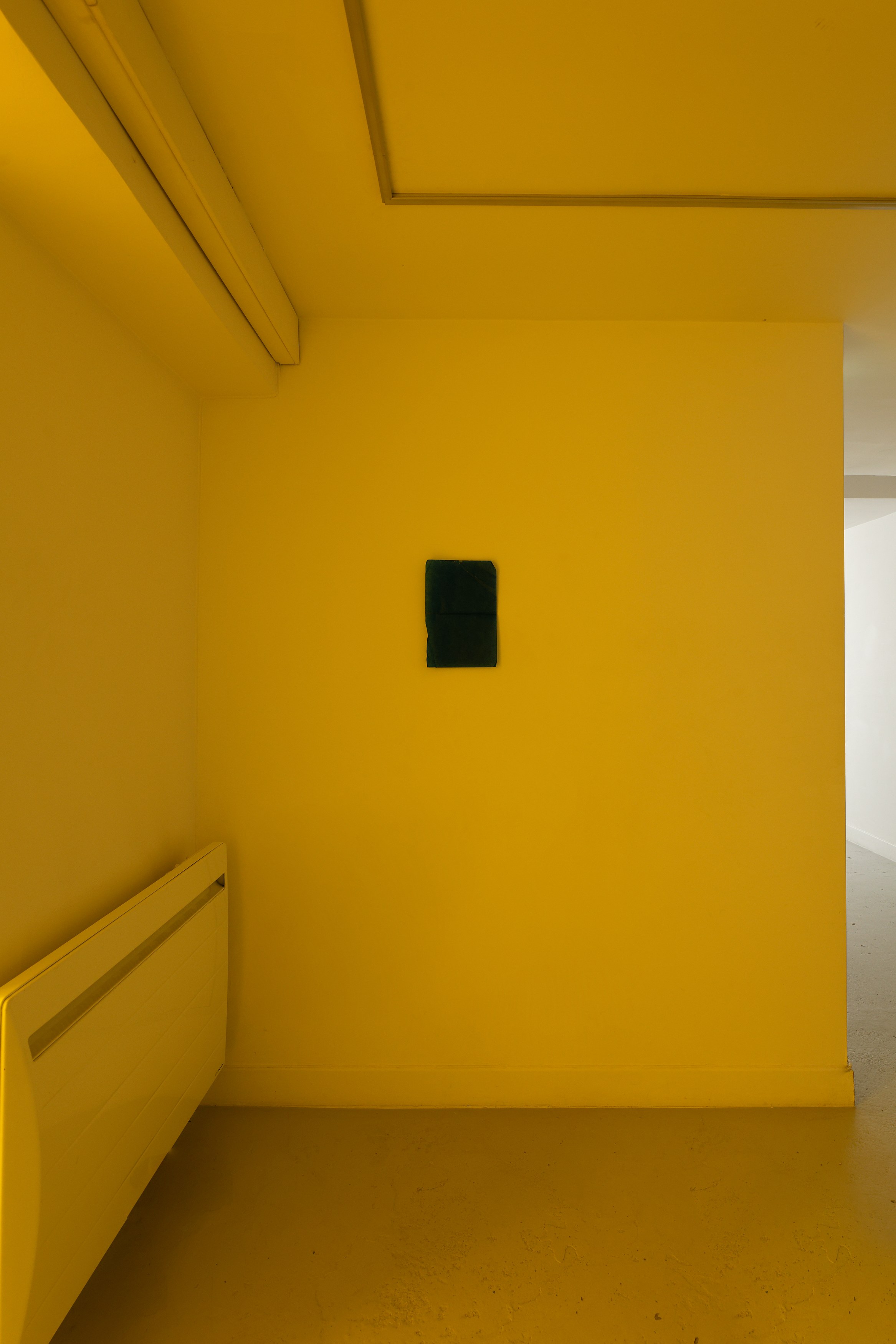 Charlotte Moth, Dim glows at Marcelle Alix, photo 31
