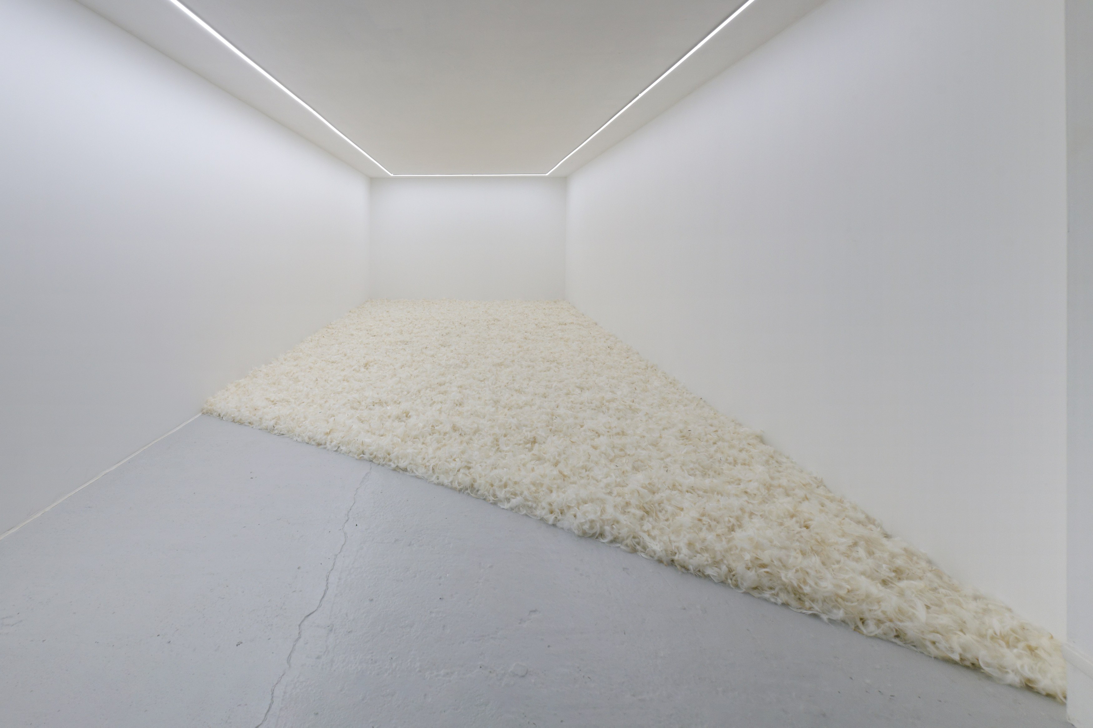 Charlotte Moth, Dim glows at Marcelle Alix, photo 33