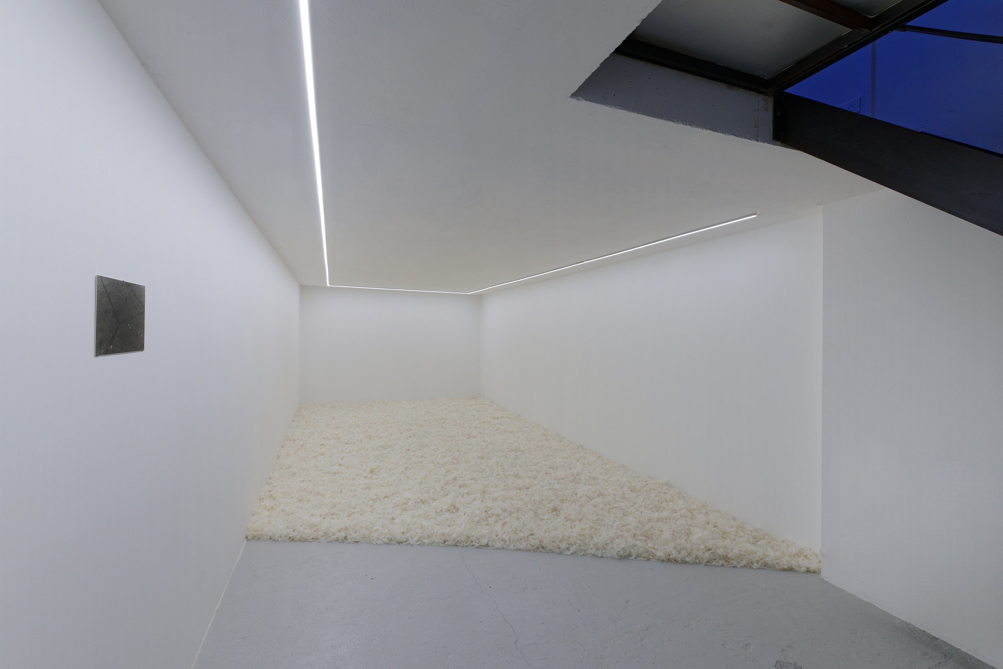 Charlotte Moth, Dim glows at Marcelle Alix, photo 34