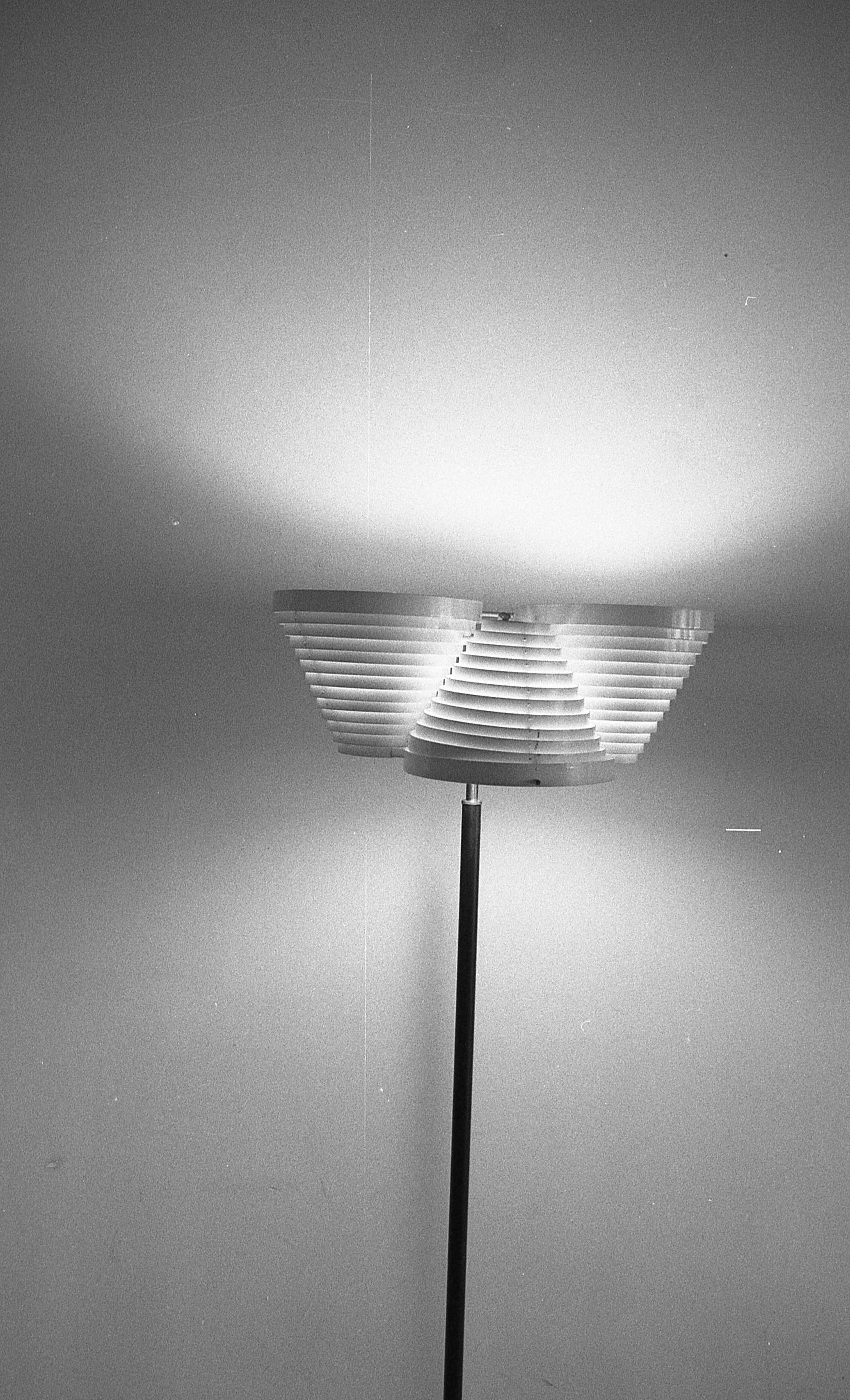 Charlotte Moth, Dim glows at Marcelle Alix, photo 38