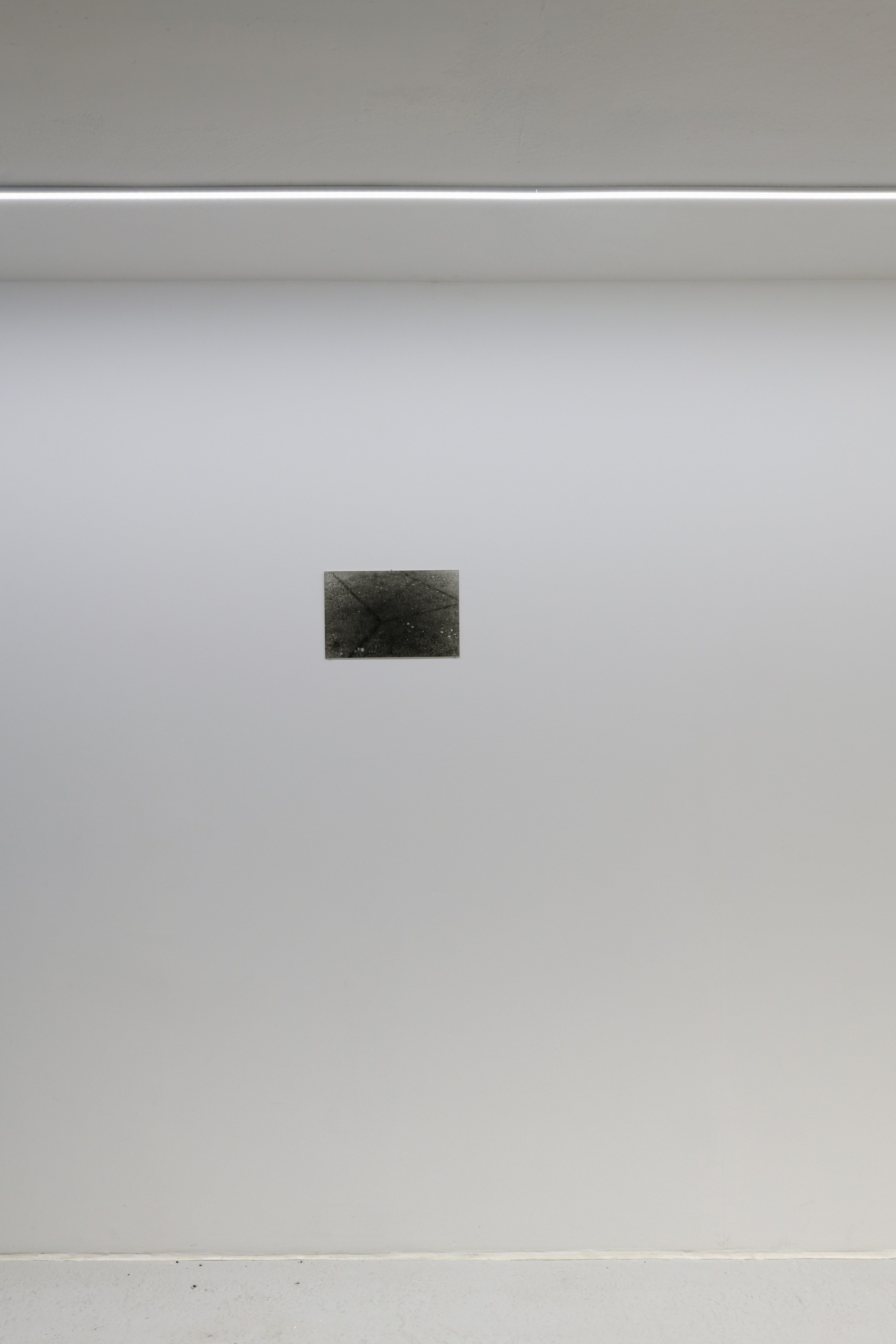 Charlotte Moth, Dim glows at Marcelle Alix, photo 35