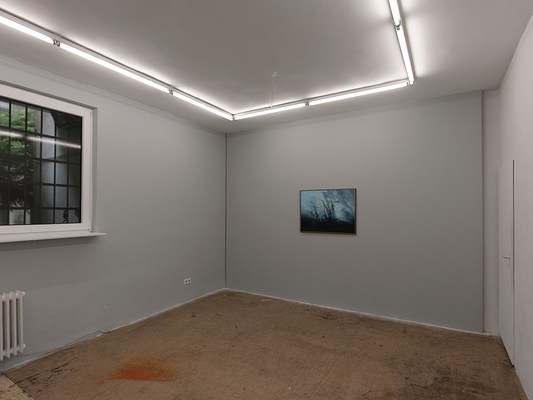 Image 7 of 30