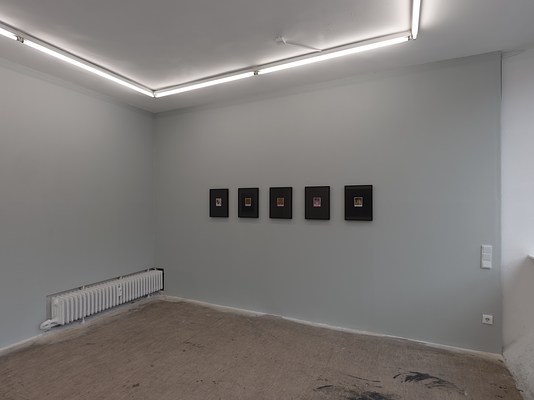 Image 5 of 30