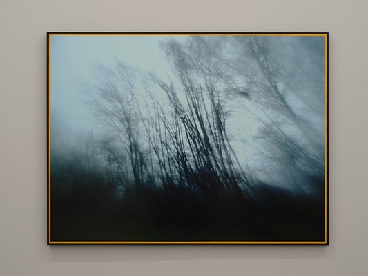 Image 11 of 30