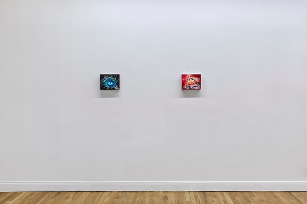 Image 12 of 23