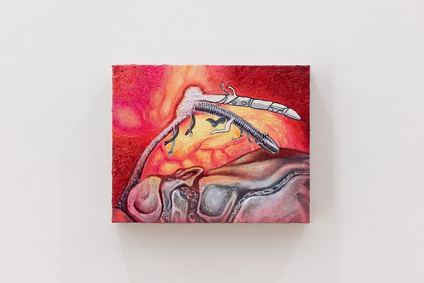 Image 19 of 23