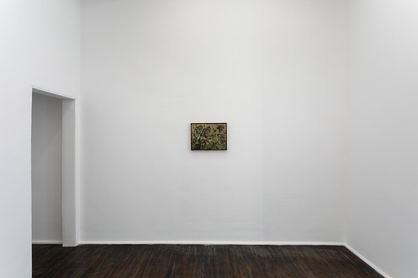 Image 8 of 21
