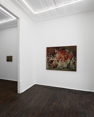 Image 10 of 21