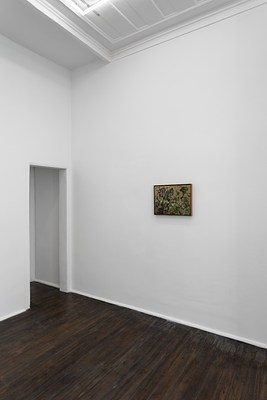 Image 9 of 21