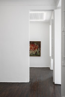 Image 12 of 21