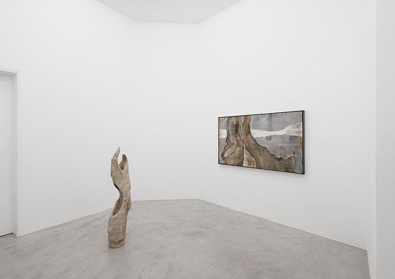 Image 4 of 8