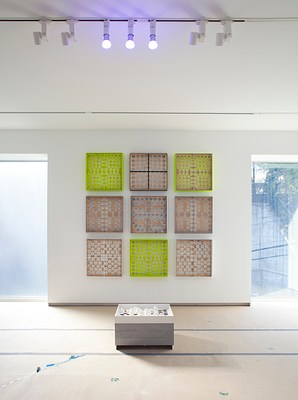 Image 4 of 14