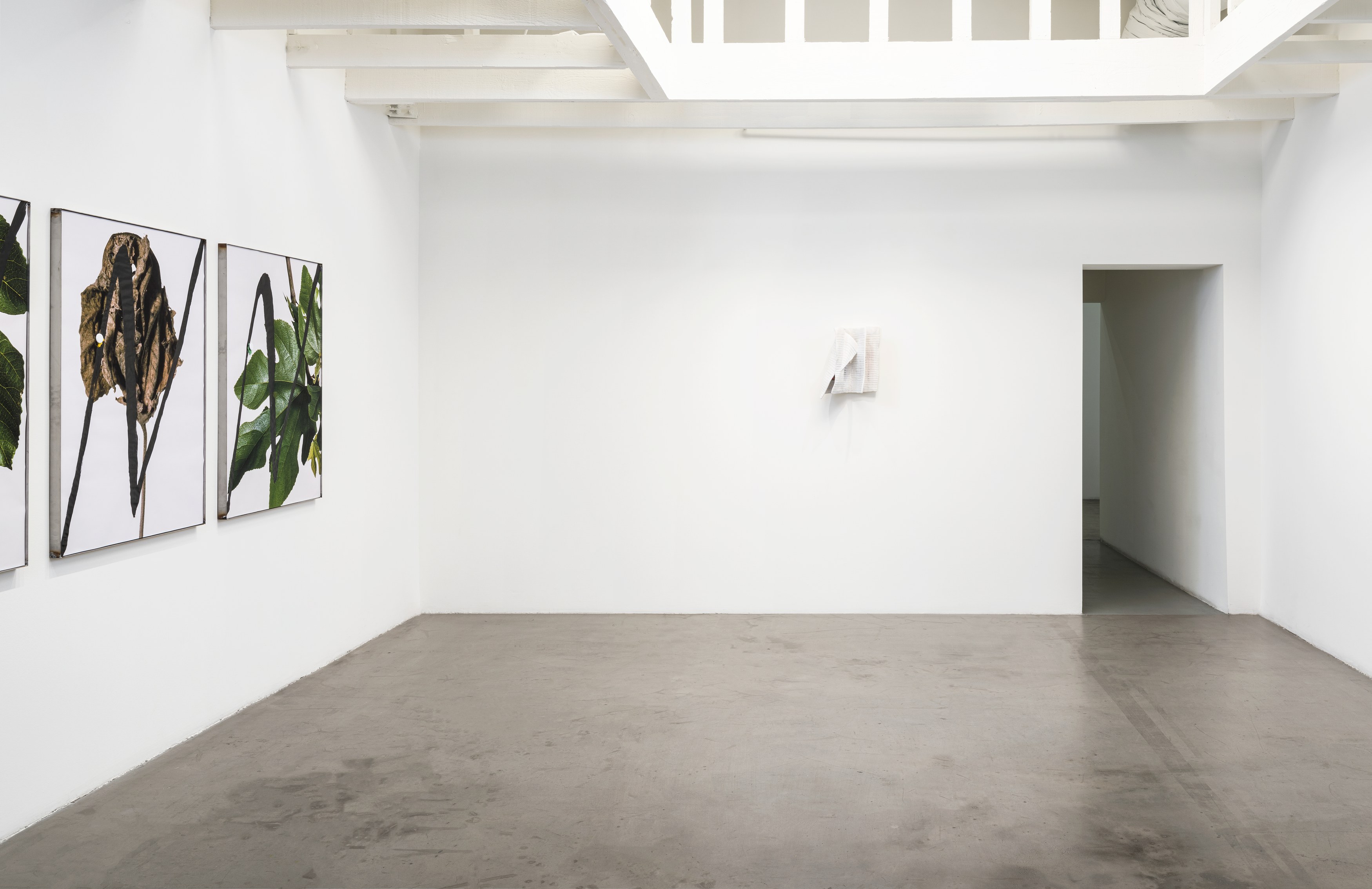 hungry lines, hungry lines at Michael Benevento Gallery, photo 13