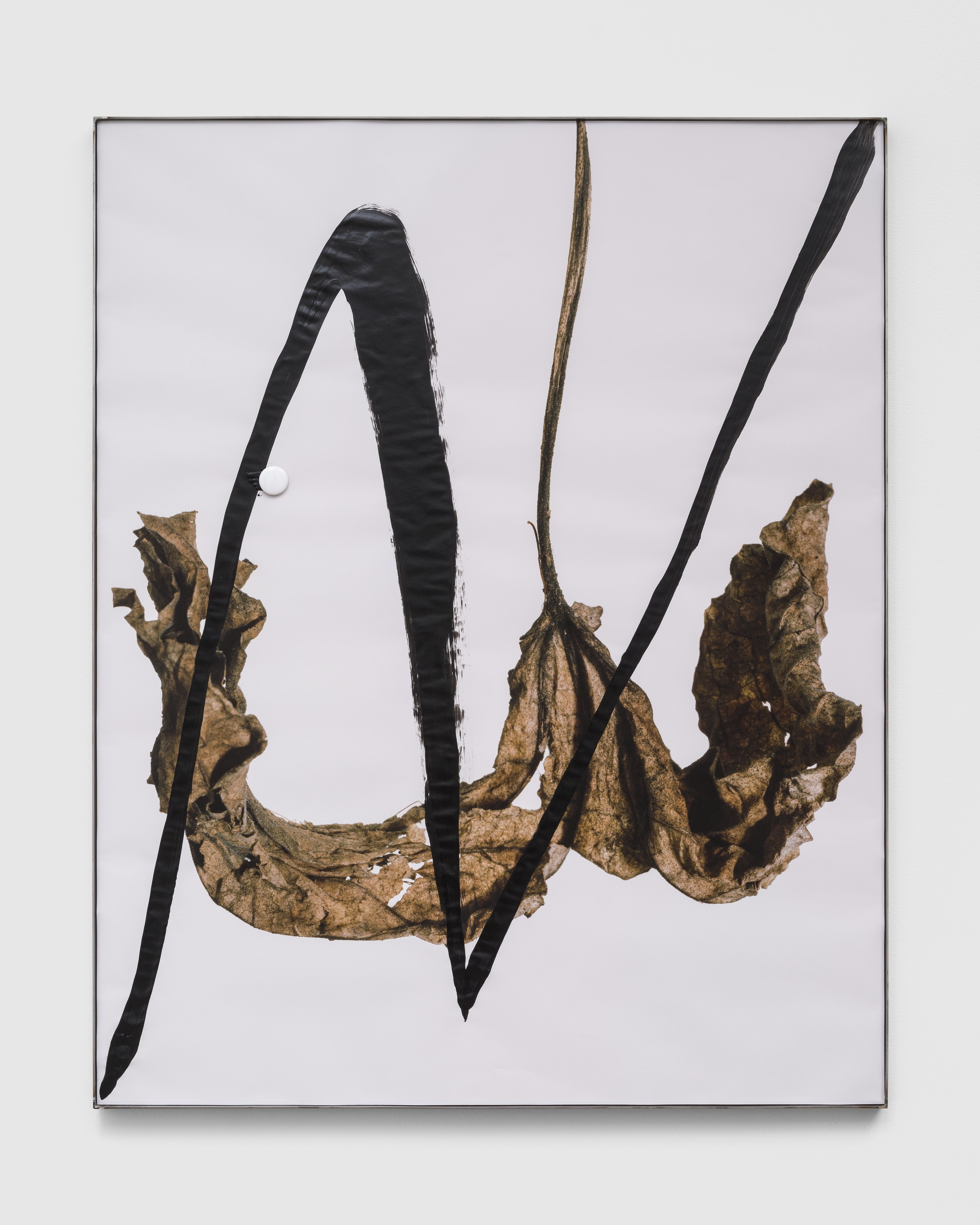 hungry lines, hungry lines at Michael Benevento Gallery, photo 16