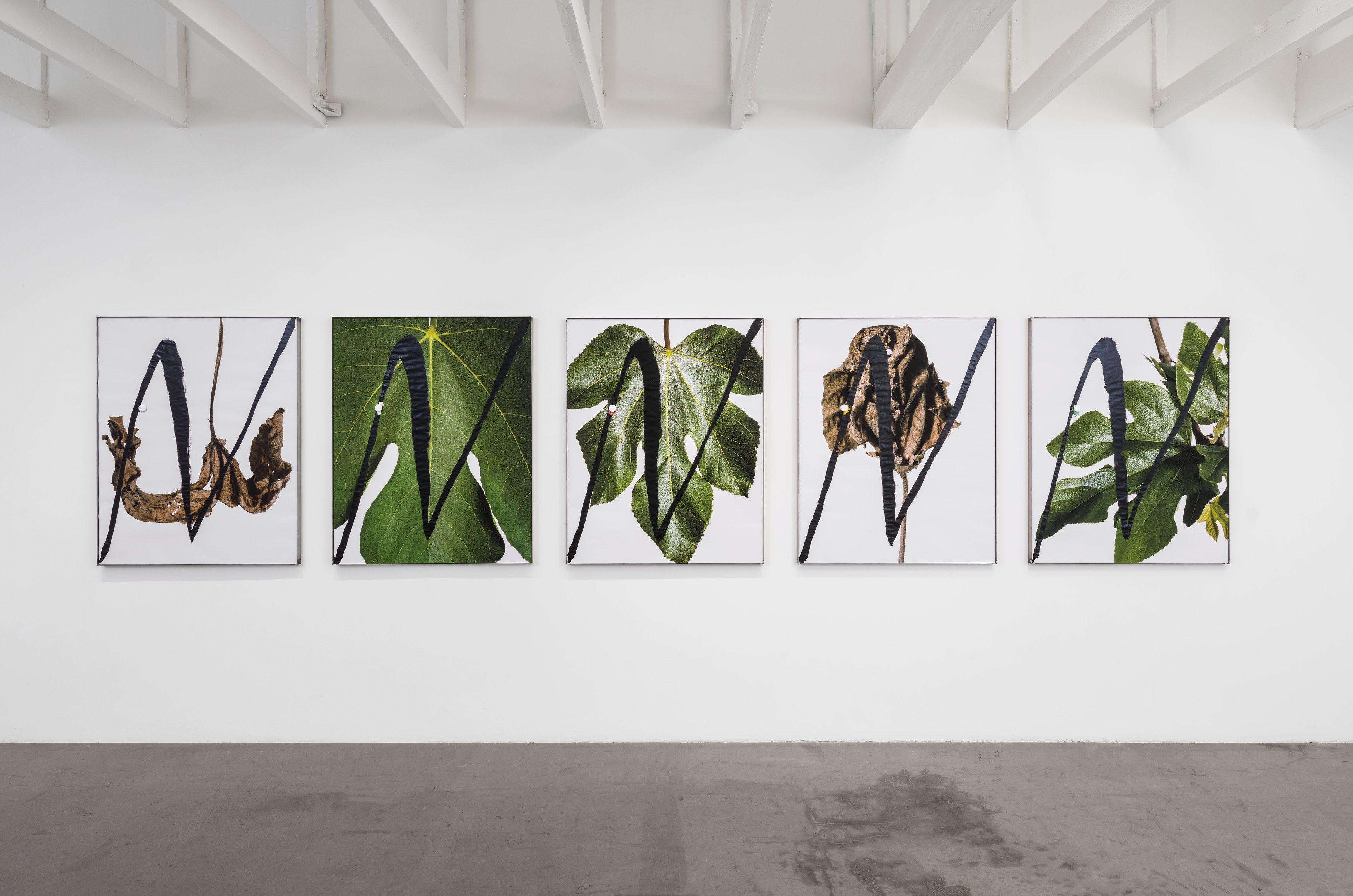 hungry lines, hungry lines at Michael Benevento Gallery, photo 15