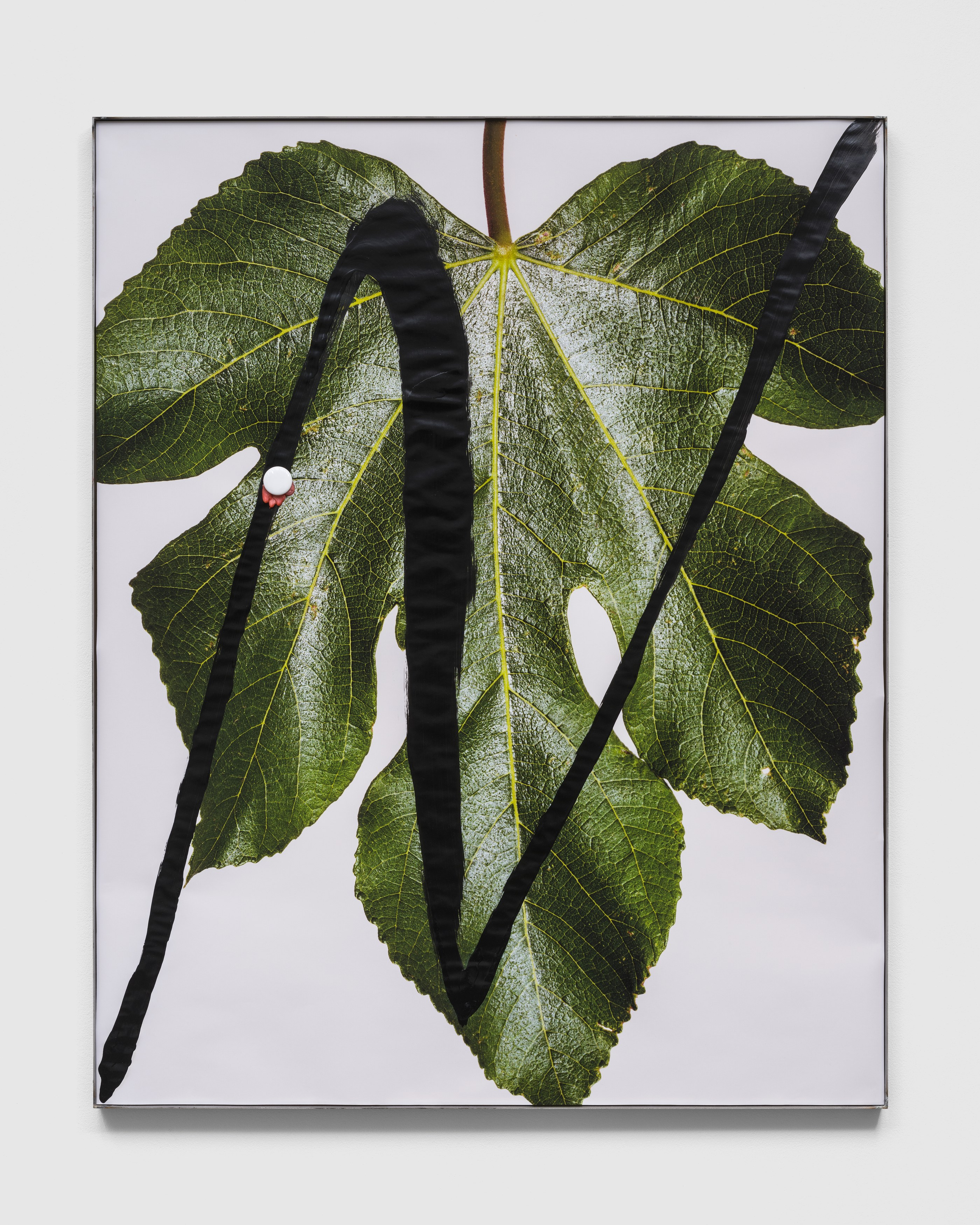 hungry lines, hungry lines at Michael Benevento Gallery, photo 18