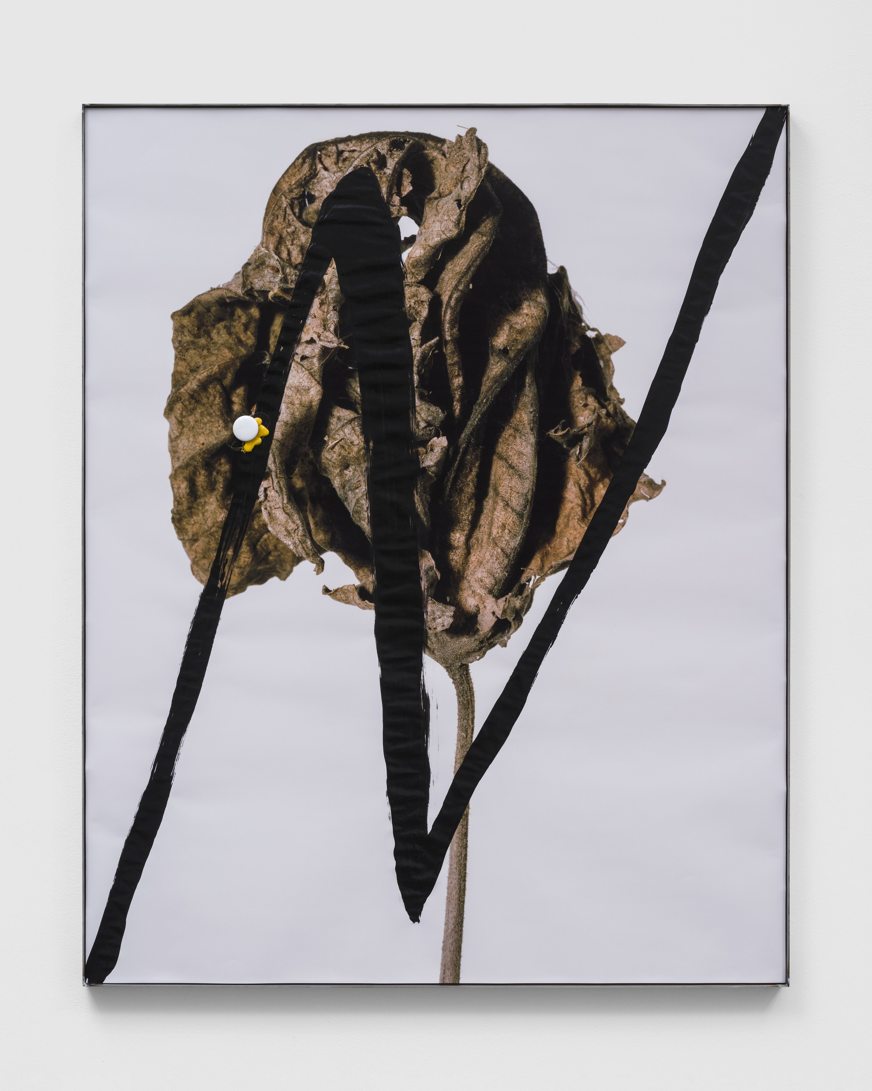 hungry lines, hungry lines at Michael Benevento Gallery, photo 19