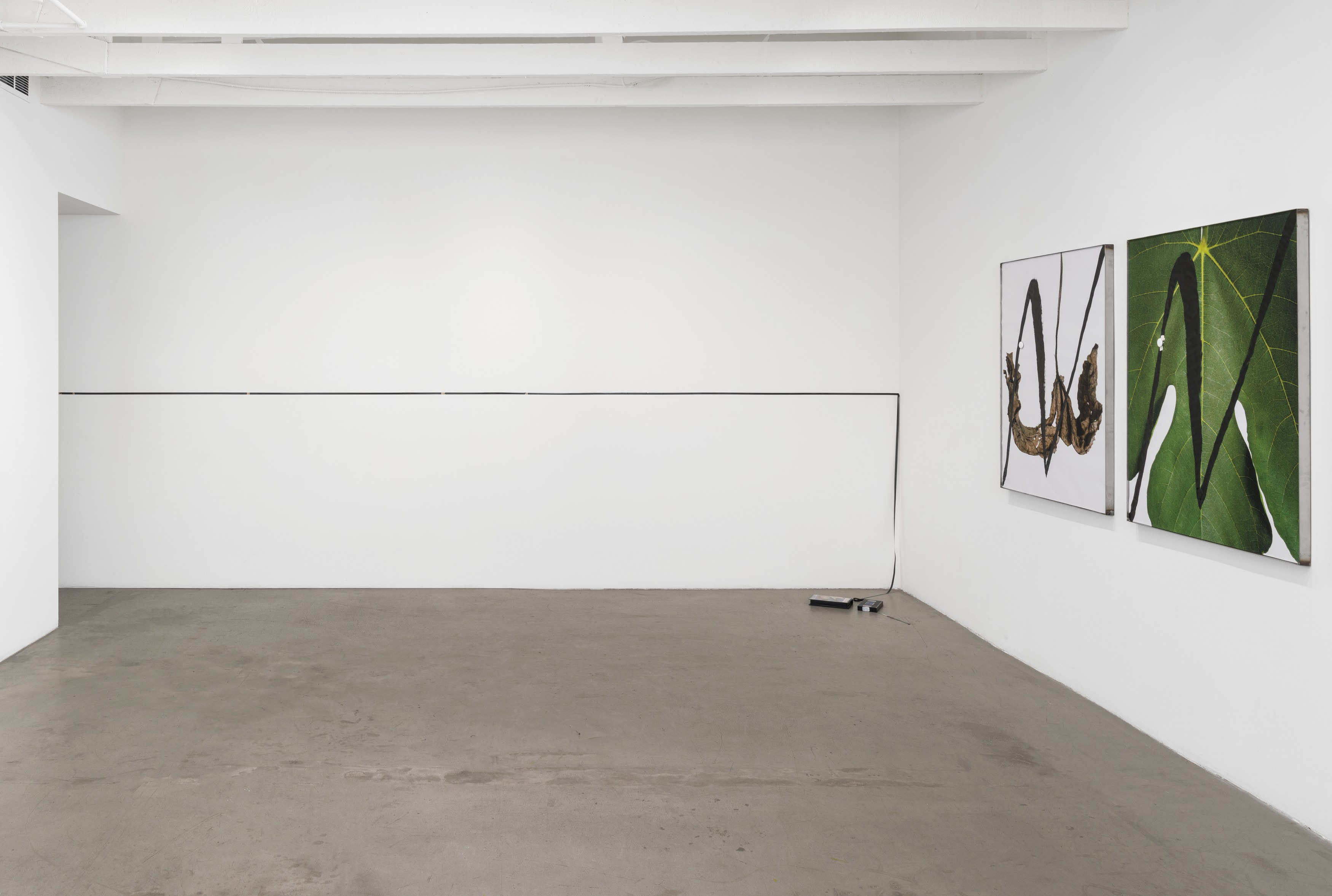 hungry lines, hungry lines at Michael Benevento Gallery, photo 21