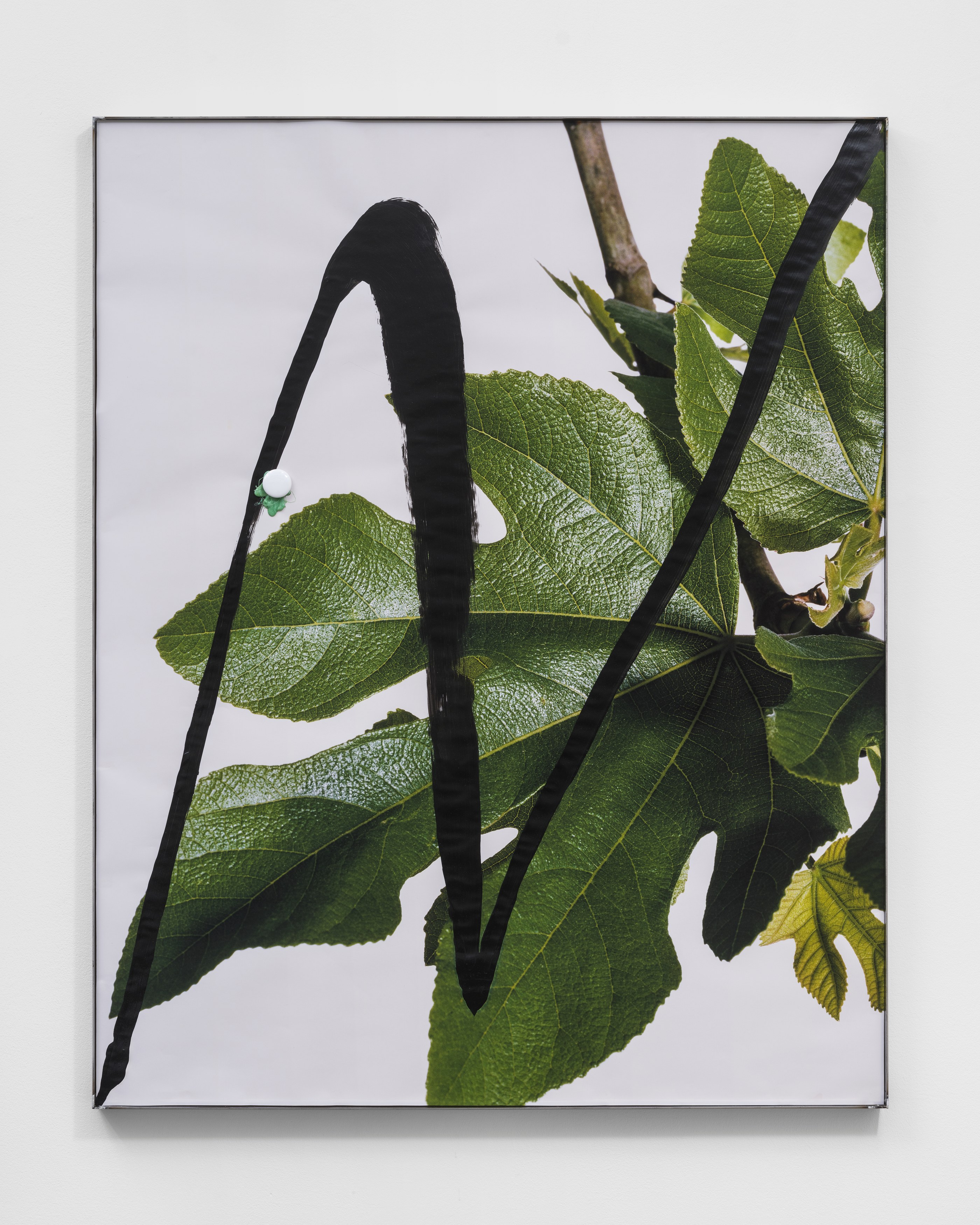 hungry lines, hungry lines at Michael Benevento Gallery, photo 20