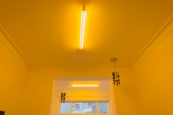 Image 26 of 51