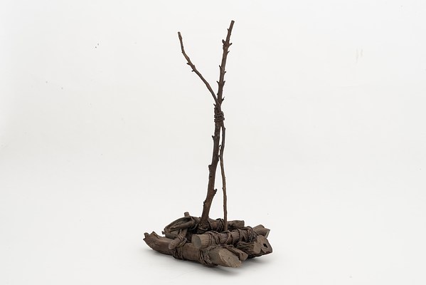 Image 22 of 24