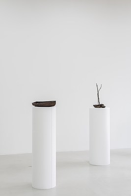 Image 10 of 24