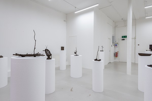 Image 14 of 24