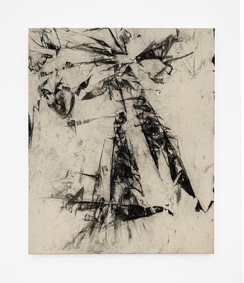Image 14 of 15