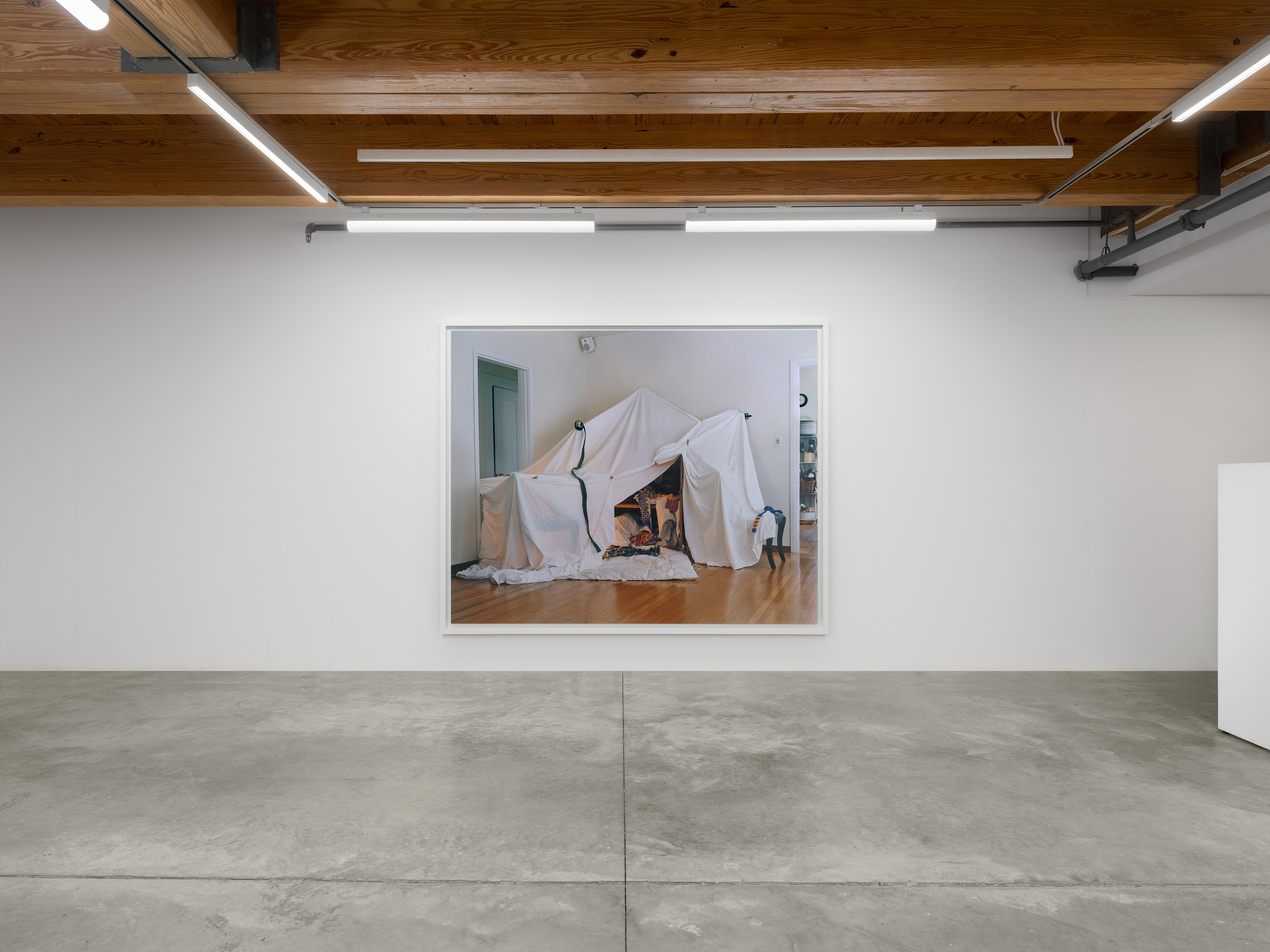 Jesse Gouveia, Plaid at anonymous gallery, photo 5