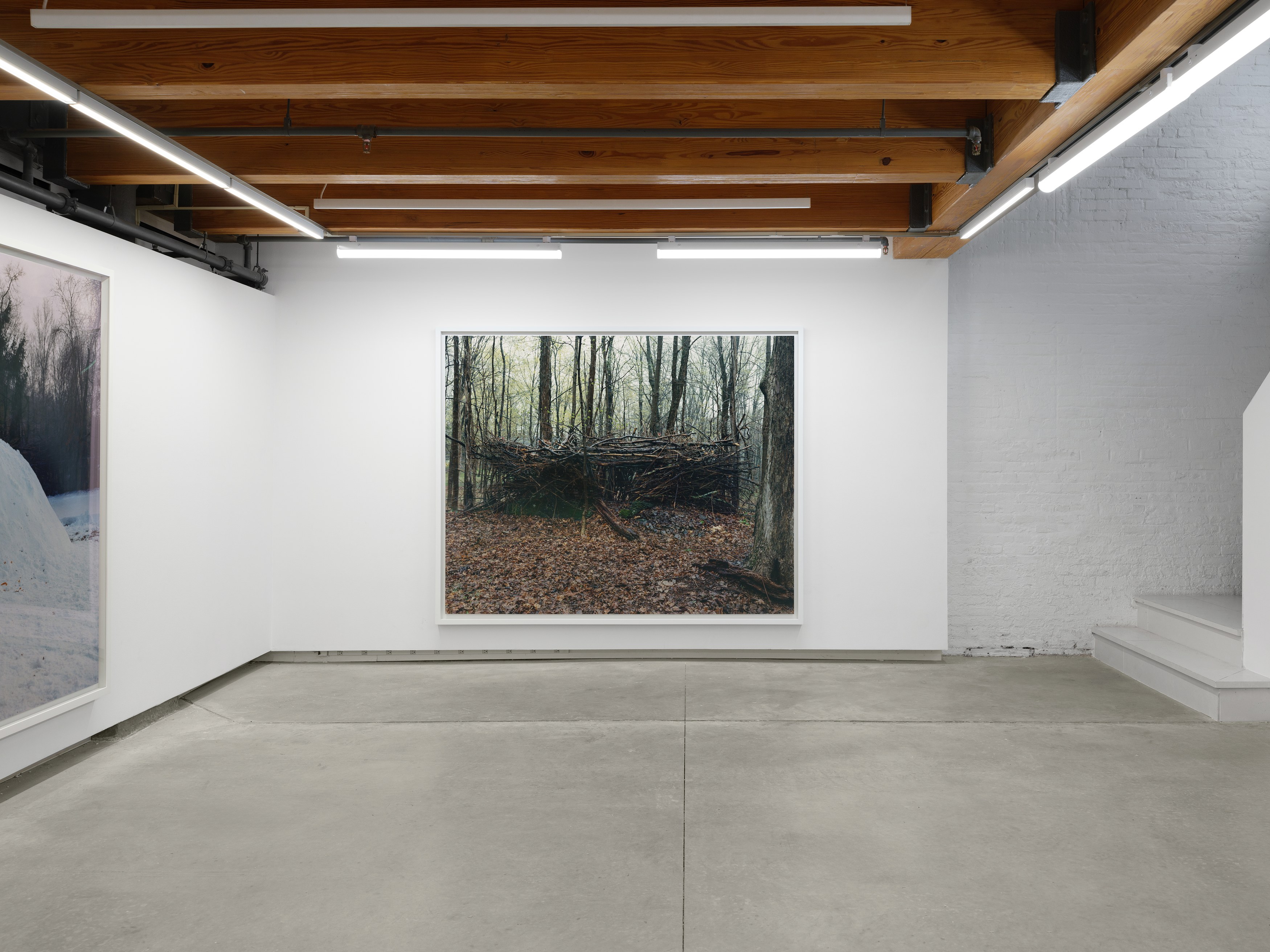 Jesse Gouveia, Plaid at anonymous gallery, photo 4