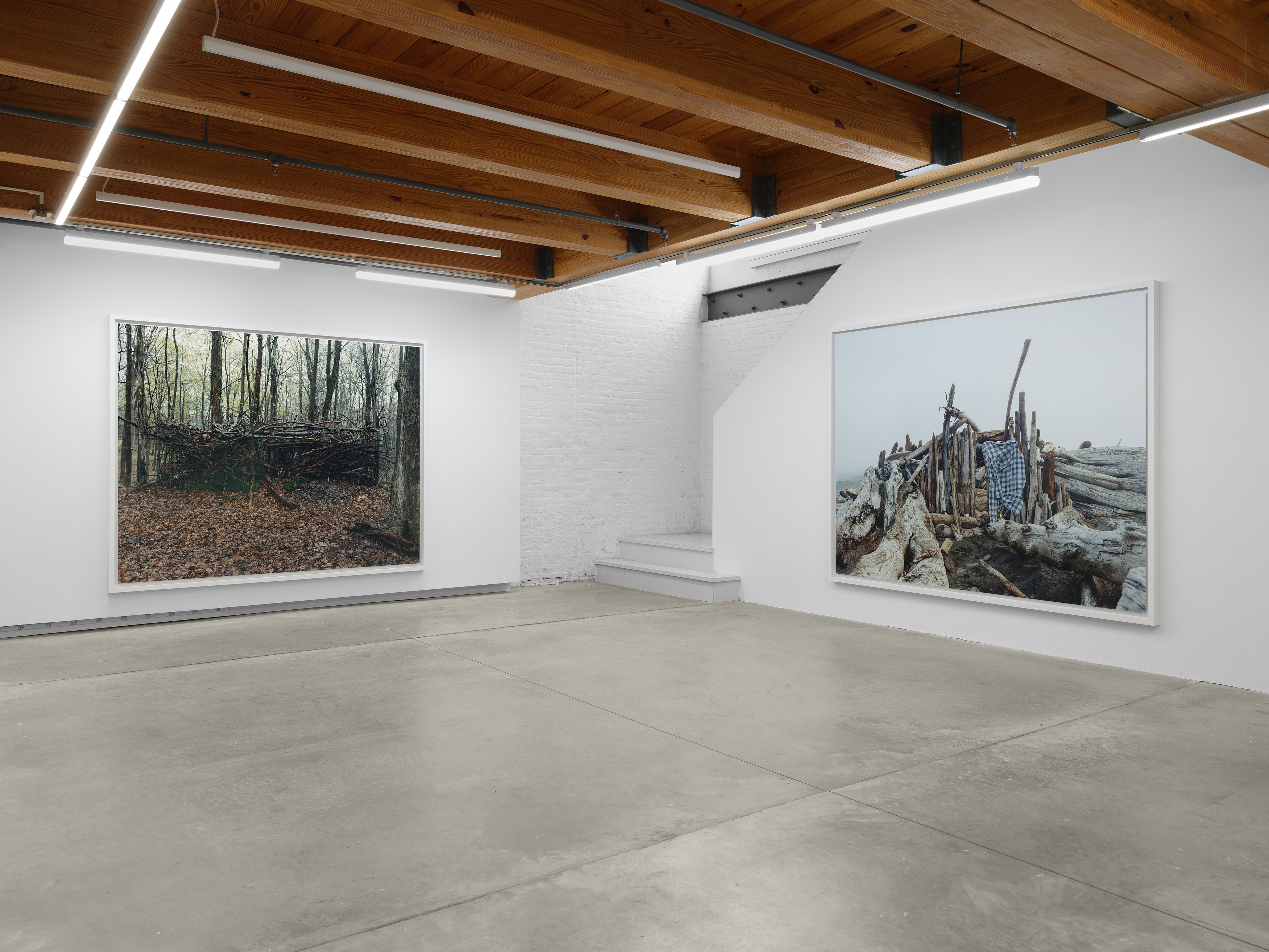 Jesse Gouveia, Plaid at anonymous gallery, photo 2
