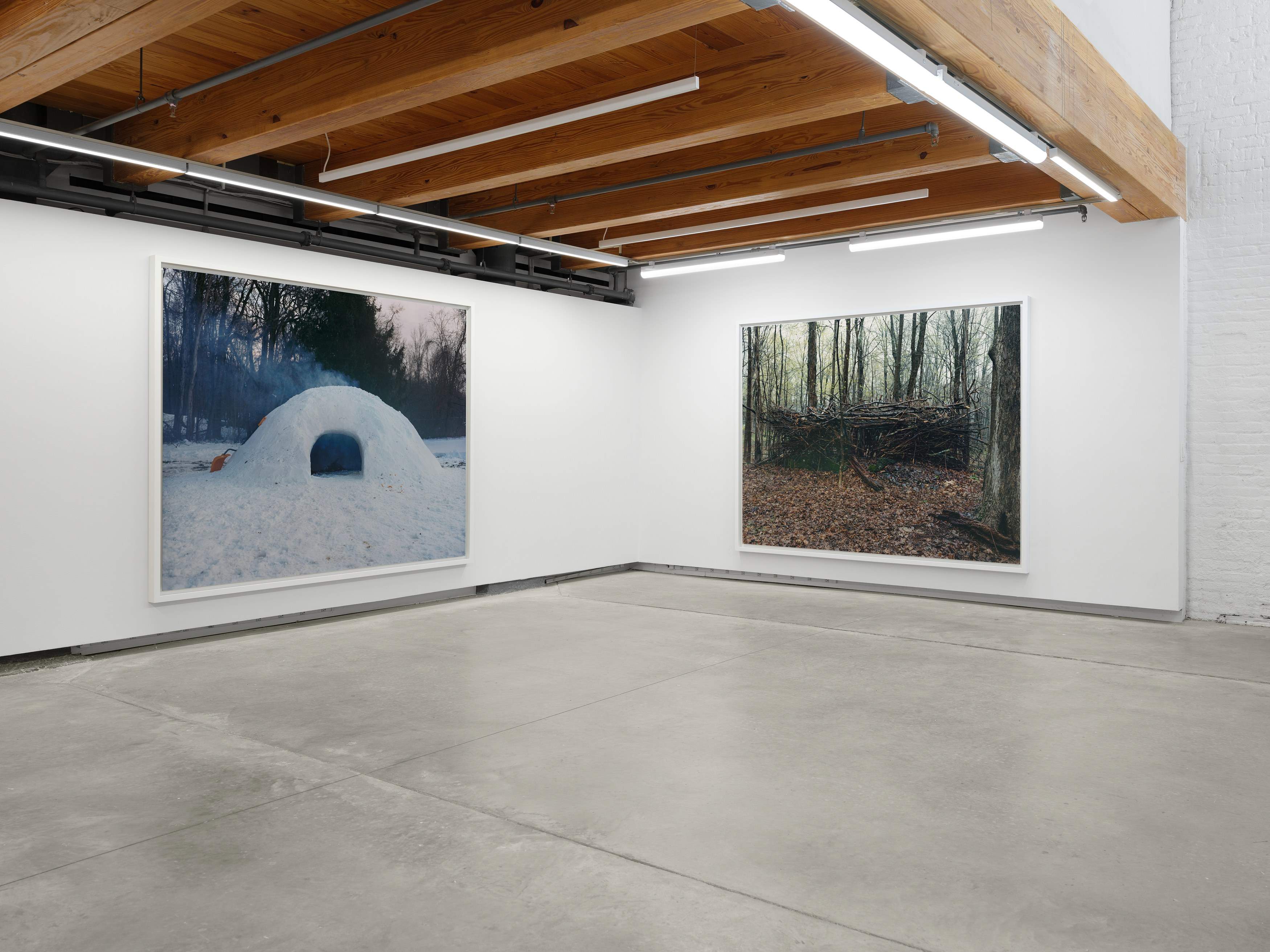 Jesse Gouveia, Plaid at anonymous gallery, photo 3