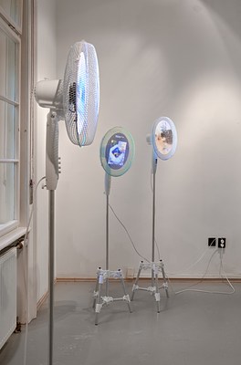 Image 11 of 22