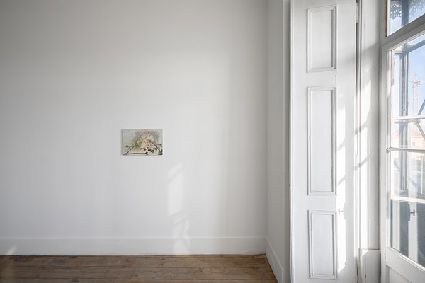 Image 11 of 21