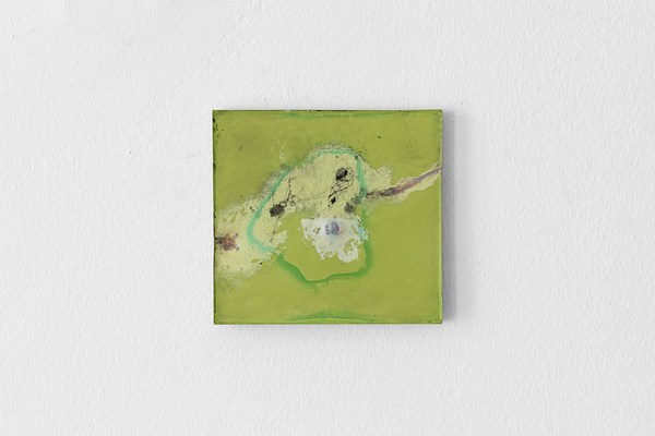 Image 9 of 21