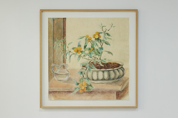Image 14 of 29