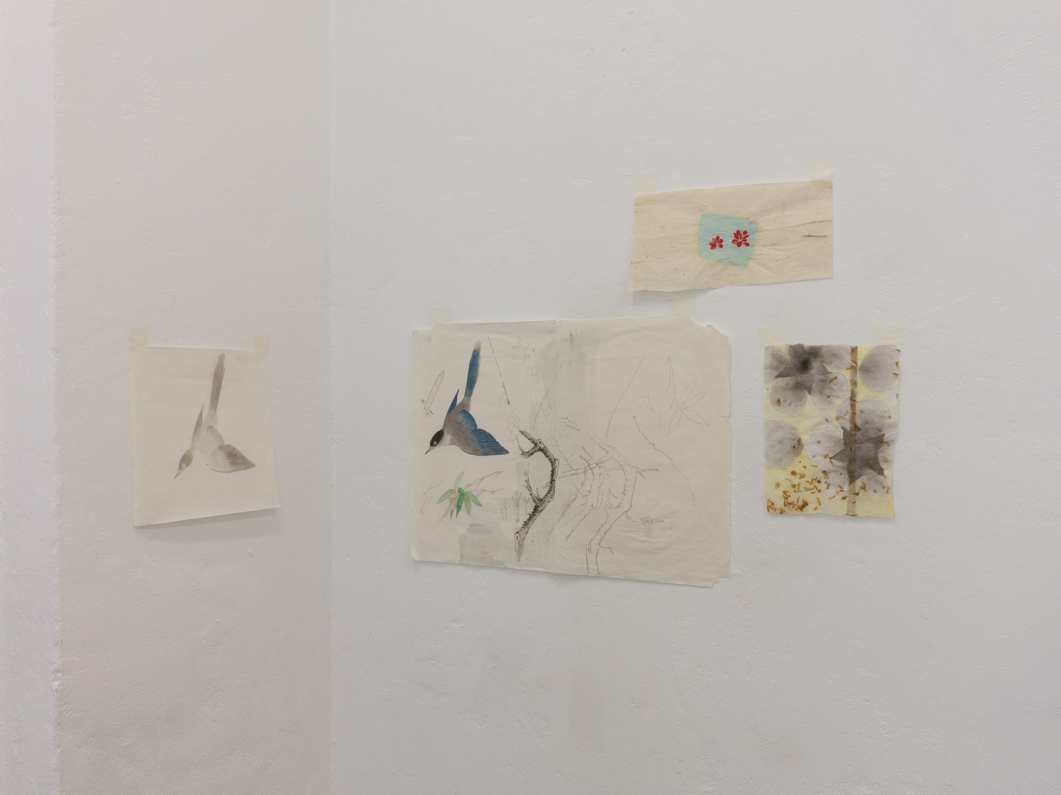 Cici Wu, Travel Star between Ceasing and Arising at Scheusal, photo 14