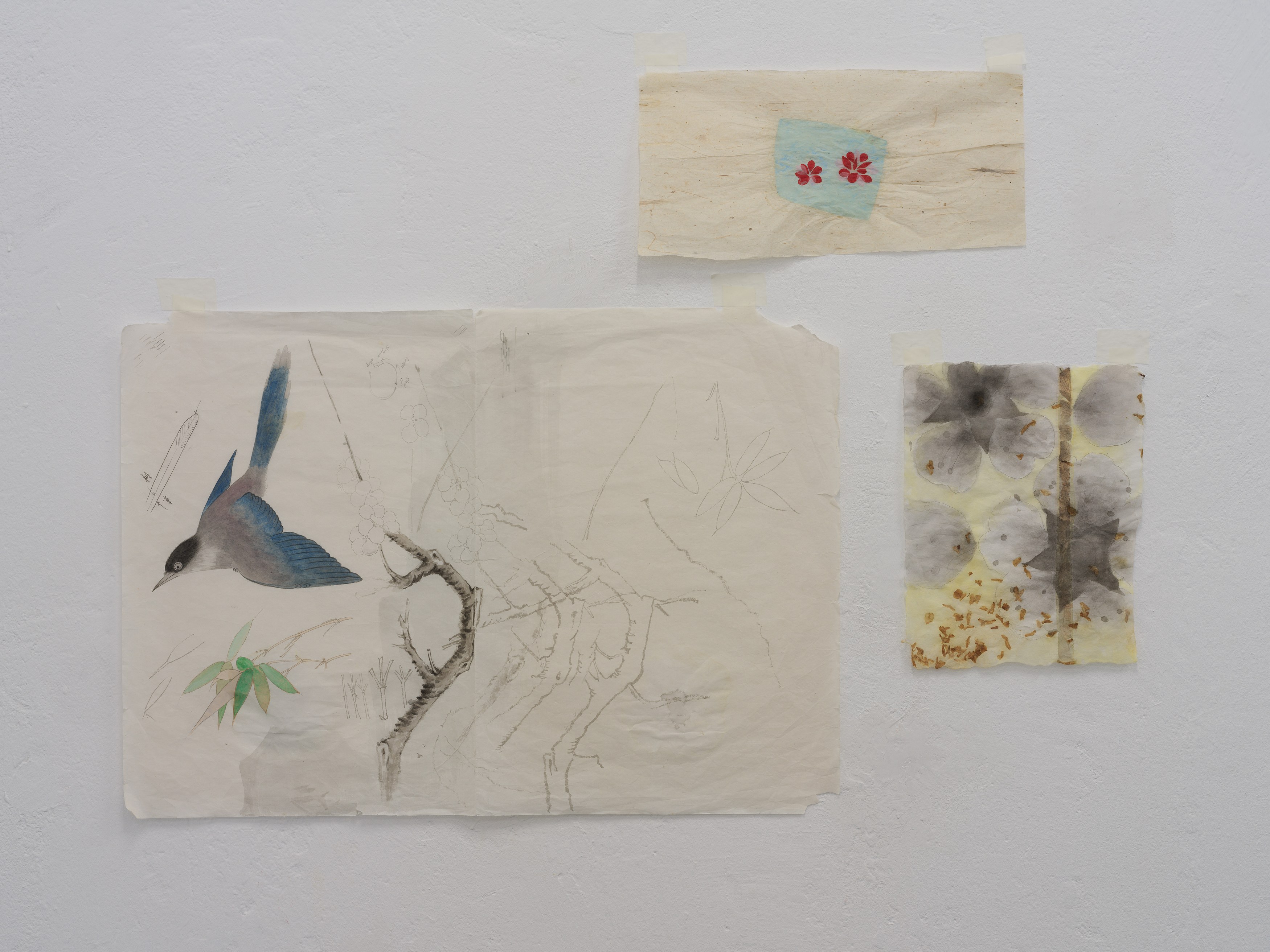 Cici Wu, Travel Star between Ceasing and Arising at Scheusal, photo 21